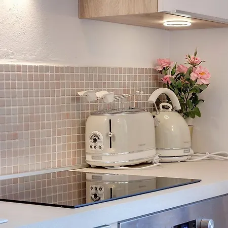 Niccolini Apartament Daire Floransa